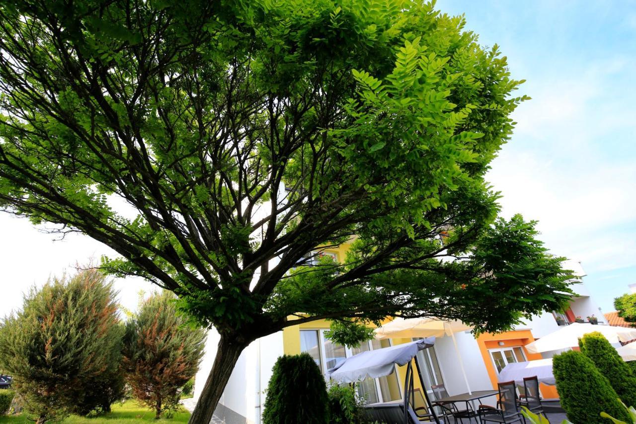 Stayinn Rainbow Houses Beachfront By Asteri Hotels Sunny Beach Esterno foto